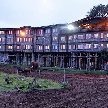 特里托普斯山林小屋 Mweiga 外观 照片